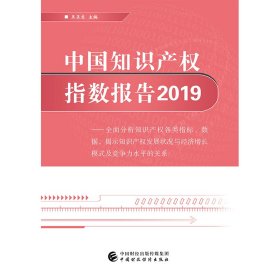 中国知识产权指数报告2019