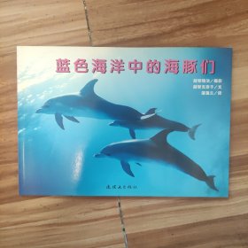 蒲蒲兰绘本馆·亲子摄影绘本：蓝色海洋中的海豚们，