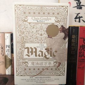 智慧宫丛书017·魔法四万年：克里斯·戈斯登著  《耶路撒冷三千年》作者西蒙·蒙蒂菲奥里倾情推荐 巫术、占星与炼金术的全球史