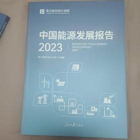 中国能源发展报告2023