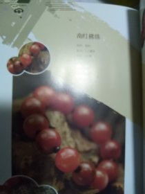 佛珠·手链收藏与鉴定