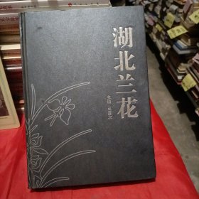 湖北兰花：精装