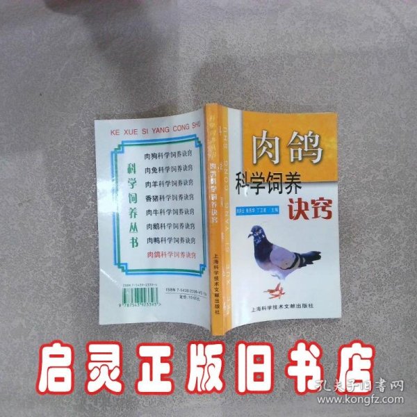 肉鸽科学饲养诀窍