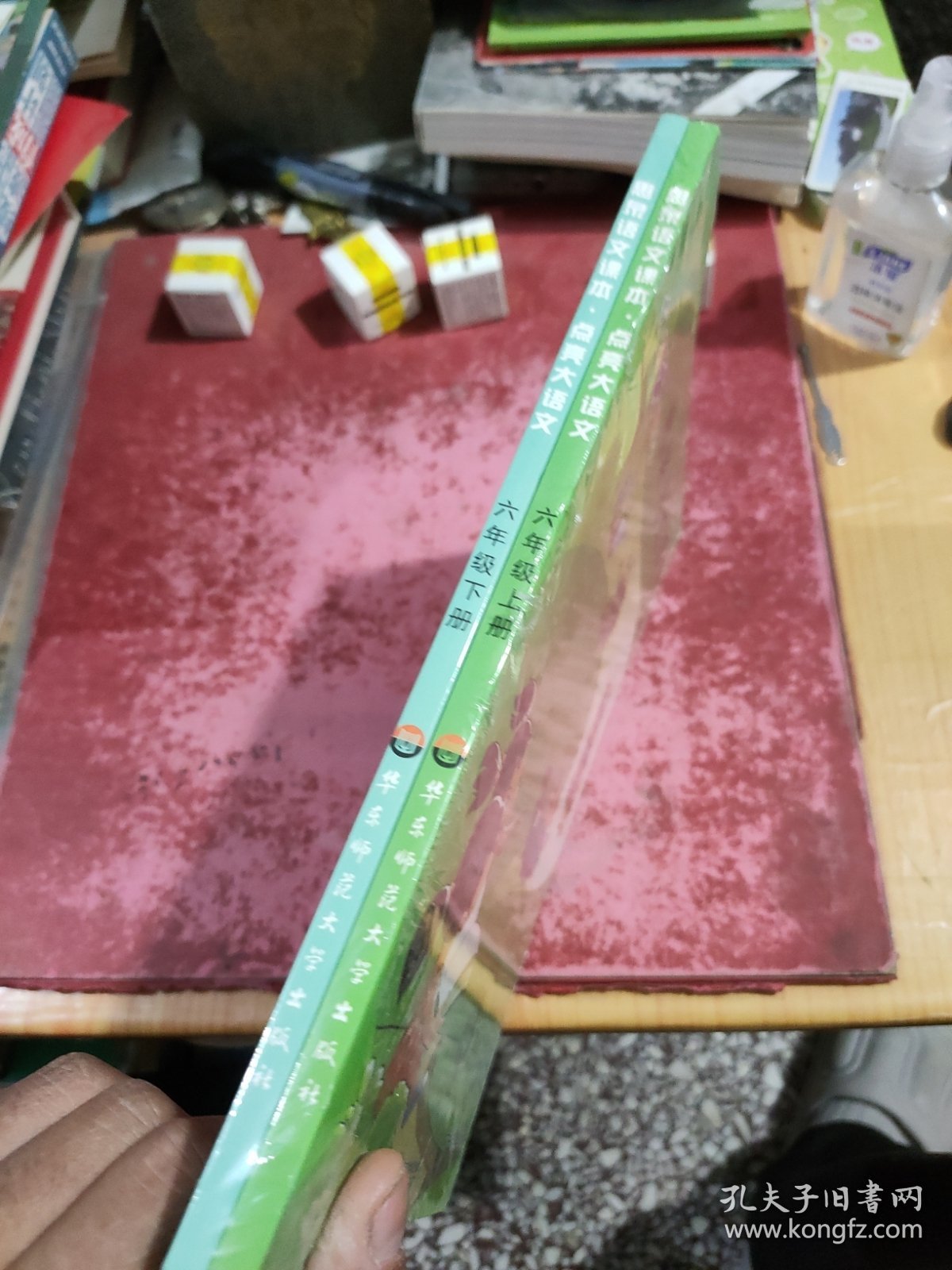 思泉语文课本·点亮大语文（6年级）（上下册）