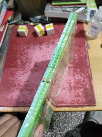思泉语文课本·点亮大语文（6年级）（上下册）