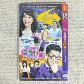 HDVD-9 幽默家庭幸福剧 天真遇到现实 国语发音中文字幕 碟装完整版 已验试