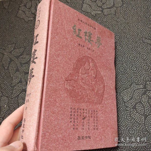 红楼梦：古典名著普及文库