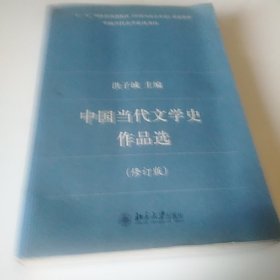 中国当代文学史作品选