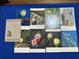1959年北京出版社一版一印《花卉》一套八张