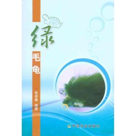 绿毛龟