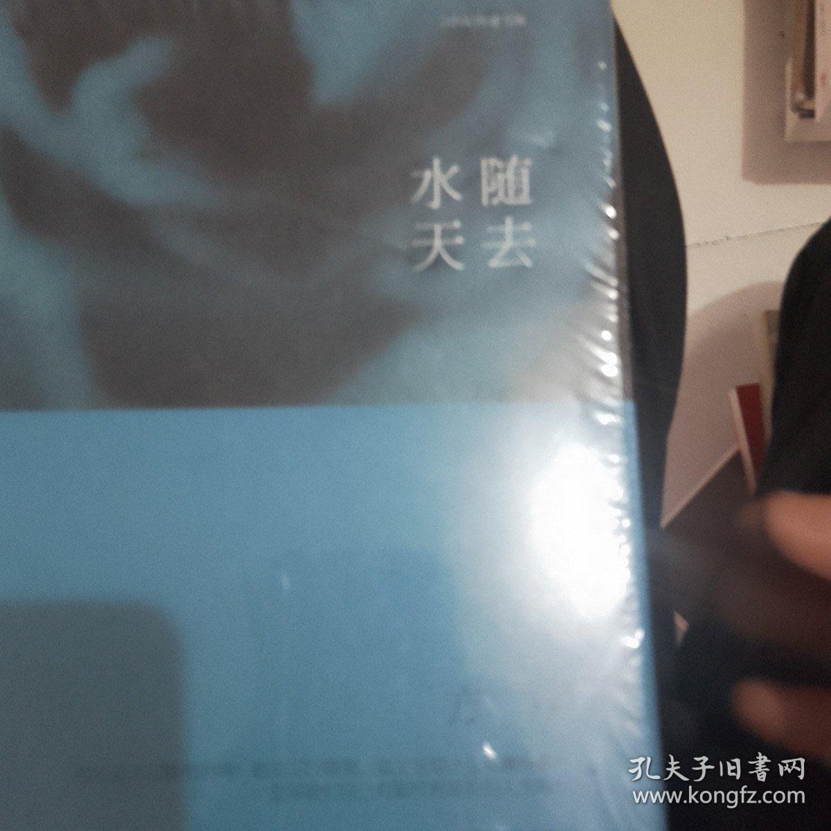 21世纪作家文库：水随天去