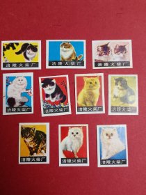 火花：猫（全10张，涪陵）