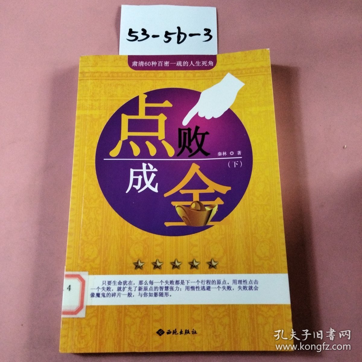 点败成金：肃清60种百密一疏的人生死角(下册)