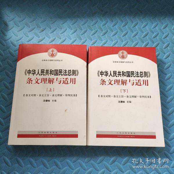 中华人民共和国民法总则 条文理解与适用（套装上下册）