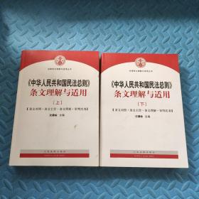 中华人民共和国民法总则 条文理解与适用（套装上下册）