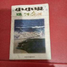 小小说选刊1997/6