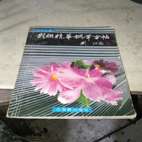 对联精华钢笔字帖