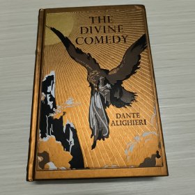 THE DIVINE COMEDY