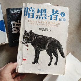 暗黑者2：宿命 （“高智商悬疑小说”大师周浩晖经典代表作）