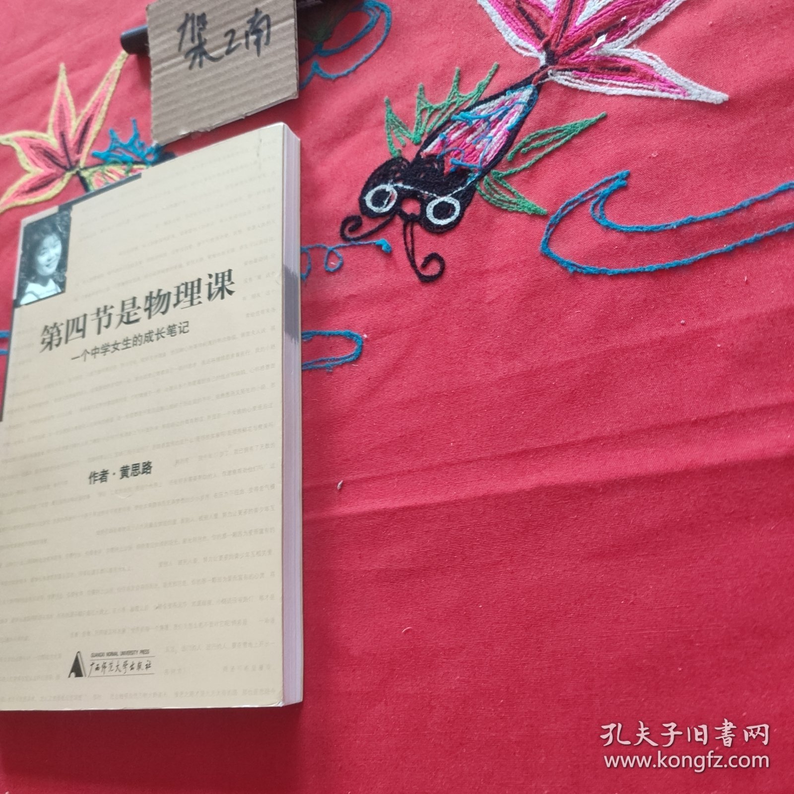 第四节是物理课：一个中学女生的成长笔记