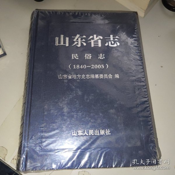山东省志 民俗志 1840-2005 下