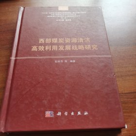 西部煤炭资源清洁高效利用发展战略研究