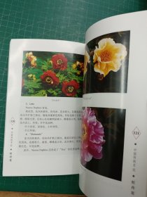 牡丹花