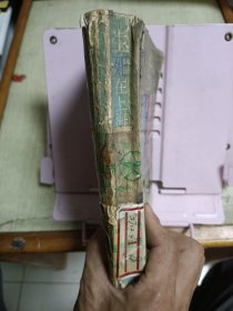 生死在上海
