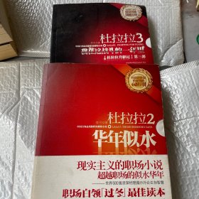 杜拉拉2：华年似水：《杜拉拉升职记》第二部