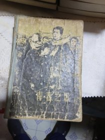 17年文学经典：1963年《青春之歌》（图书馆自制精装）