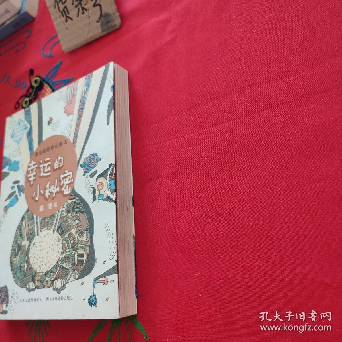 幸运的小秘密.当代儿童文学作家原创书系(入选2014年国家新闻出版广电总局向全国青少年推荐的百种优秀图书。让我们和魔法姐姐葛竞一同去探险吧！)