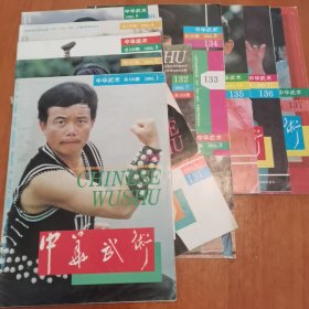 中华武术杂志，1995.1—1995.12全