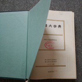 汉语大字典 （1）