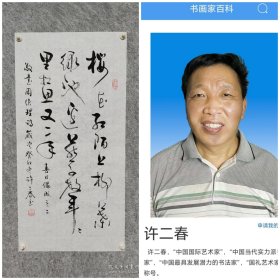 许二春书法作品 草书周总理诗一首 四尺四开34*68 真人真迹放心收藏！