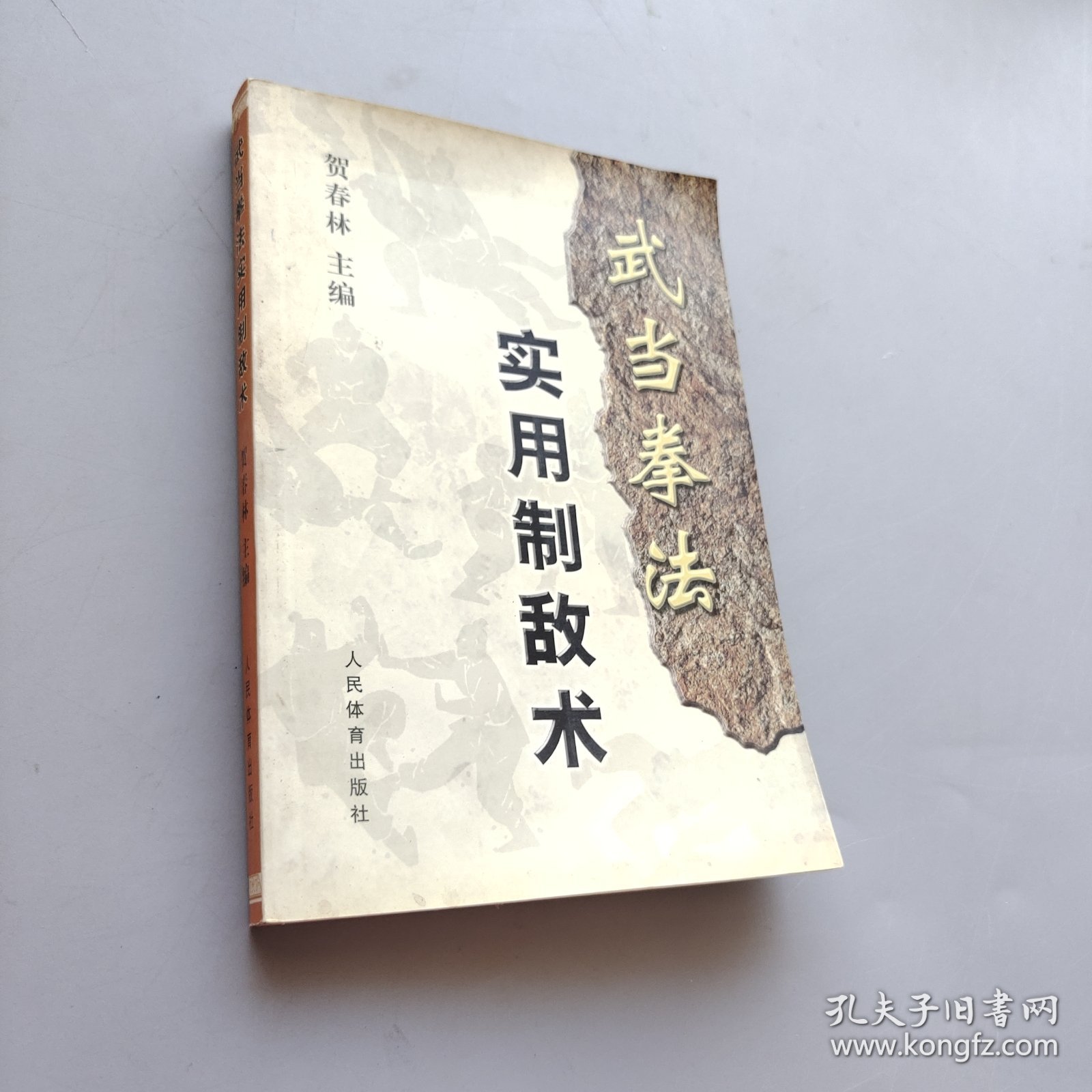 武当拳法实用制敌术