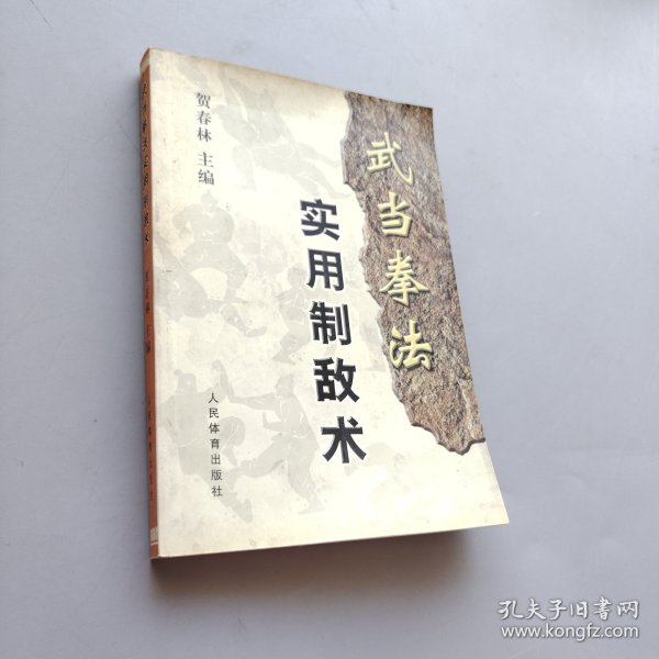 武当拳法实用制敌术