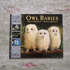 Owl Babies（有光碟）