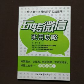 玩转微信实用攻略：史上第一本微信营销实战指南