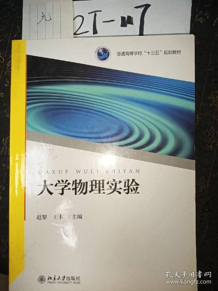 大学物理实验/普通高等学校“十三五”规划教材