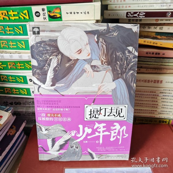 提灯去见少年郎