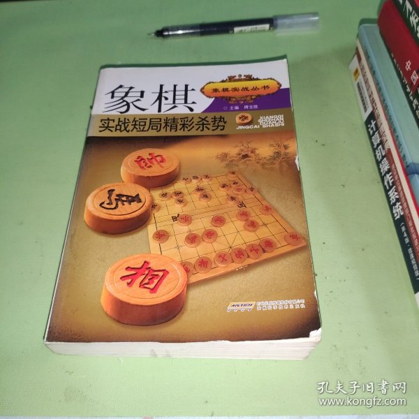 象棋实战短局精彩杀势