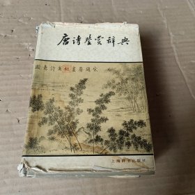 唐诗鉴赏辞典