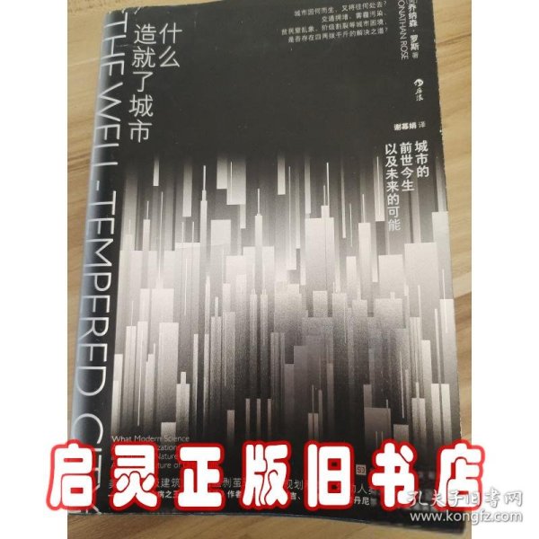 什么造就了城市：交通拥堵、雾霾污染、贫民窟乱象、阶级割裂等城市困境，是否存在四两拨千斤的解决之道？