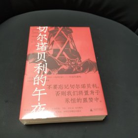 切尔诺贝利的午夜（《纽约时报》《时代周刊》年度图书）