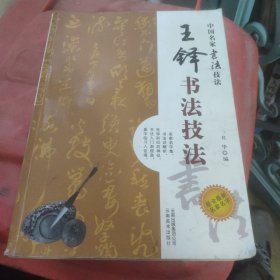 中国名家书法技法：王铎书法技法