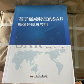 基于稀疏特征的SAR图像处理与应用