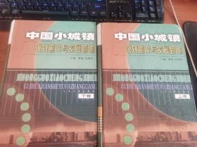 中国小城镇规划建设与发展管理（上下）
