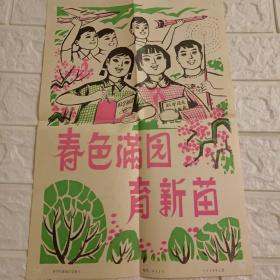 1978年新闻老照片 春色满园育新苗（15张照片）