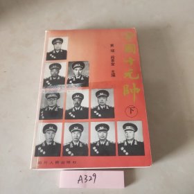 中国十元帅（下）