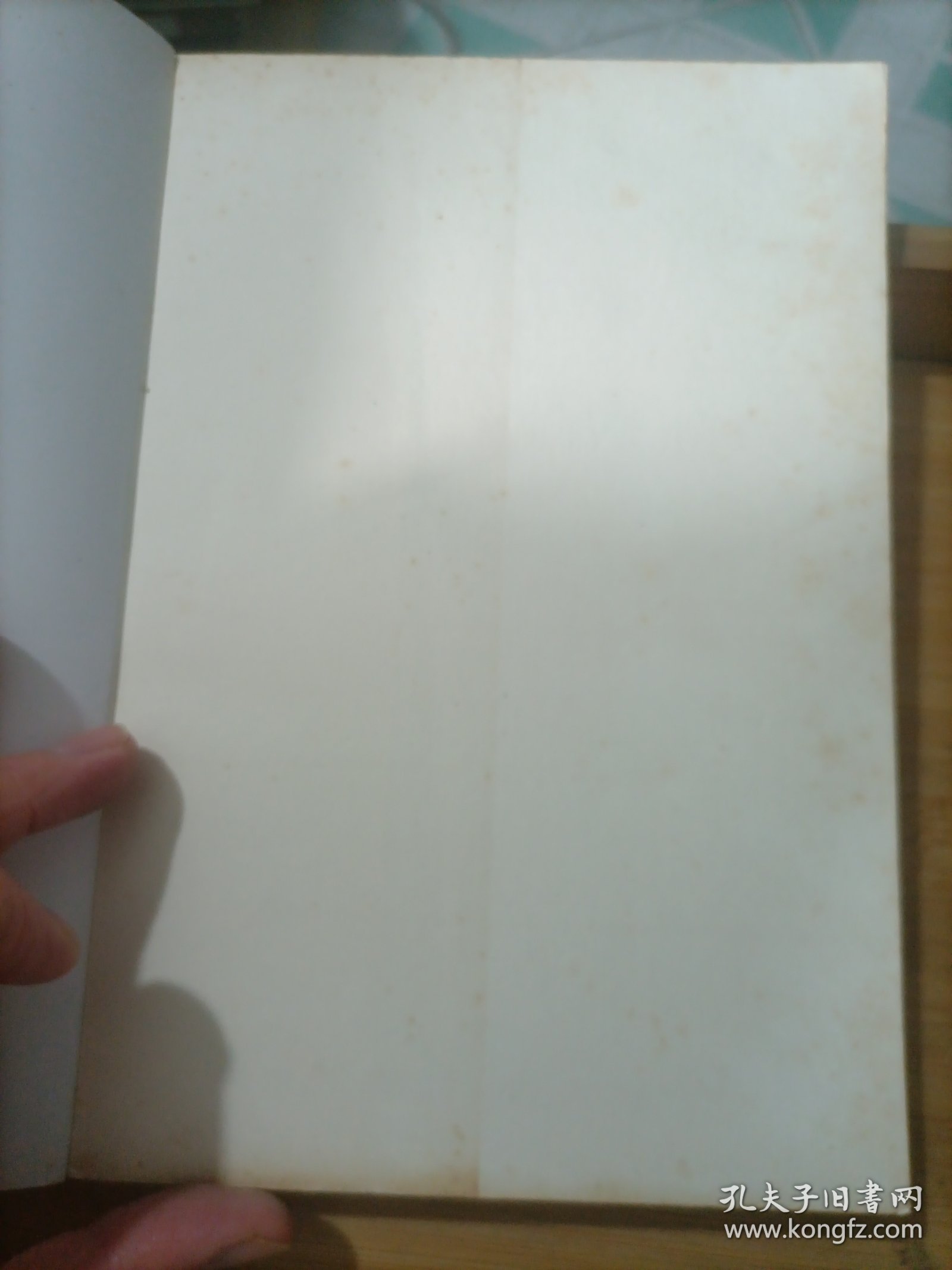 肥东当代人物【肥东文史资料第八辑】